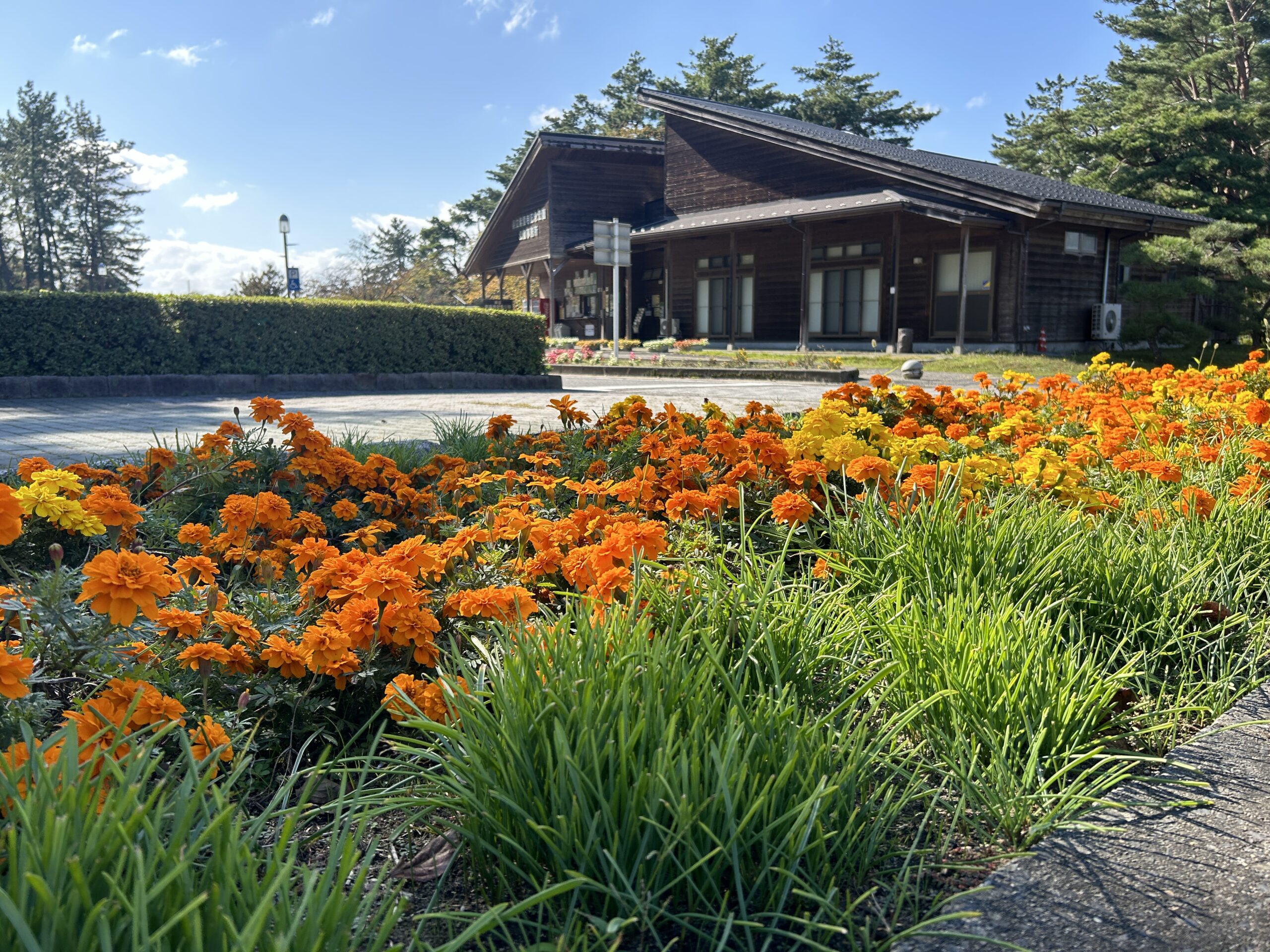 公園からのお知らせ