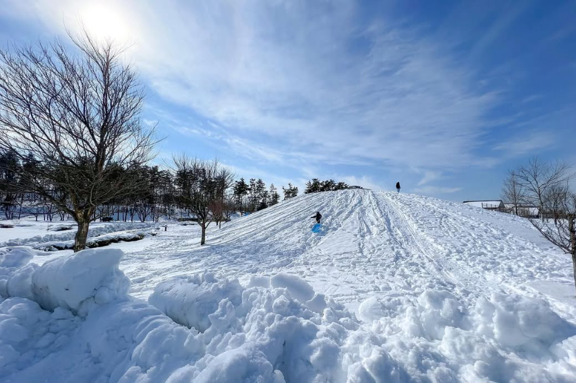 冬の紫雲寺記念公園で雪遊び！大きな丘でソリ遊び＆自然を満喫しよう