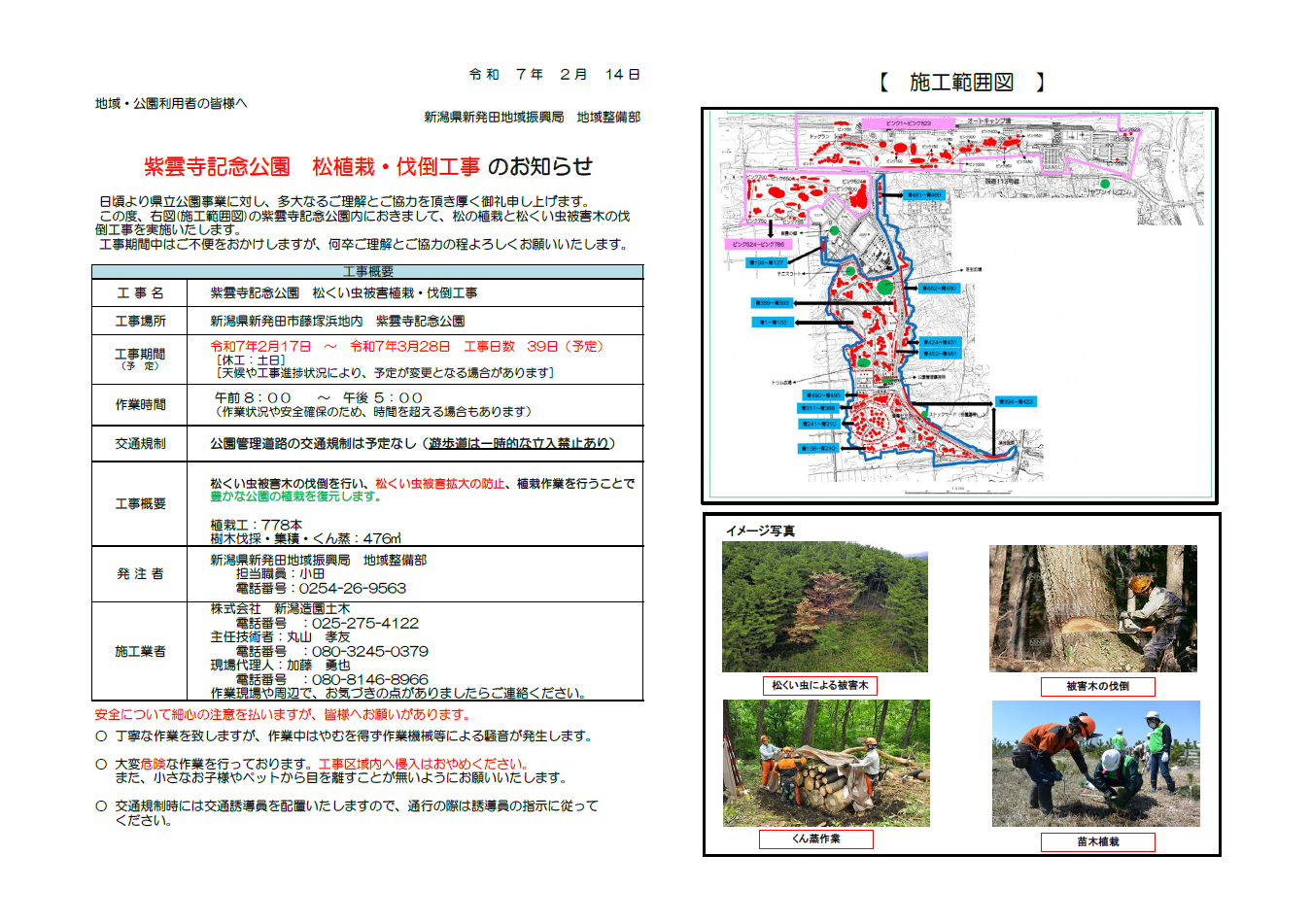 公園からのお知らせ（松植栽・伐倒工事）3/4更新