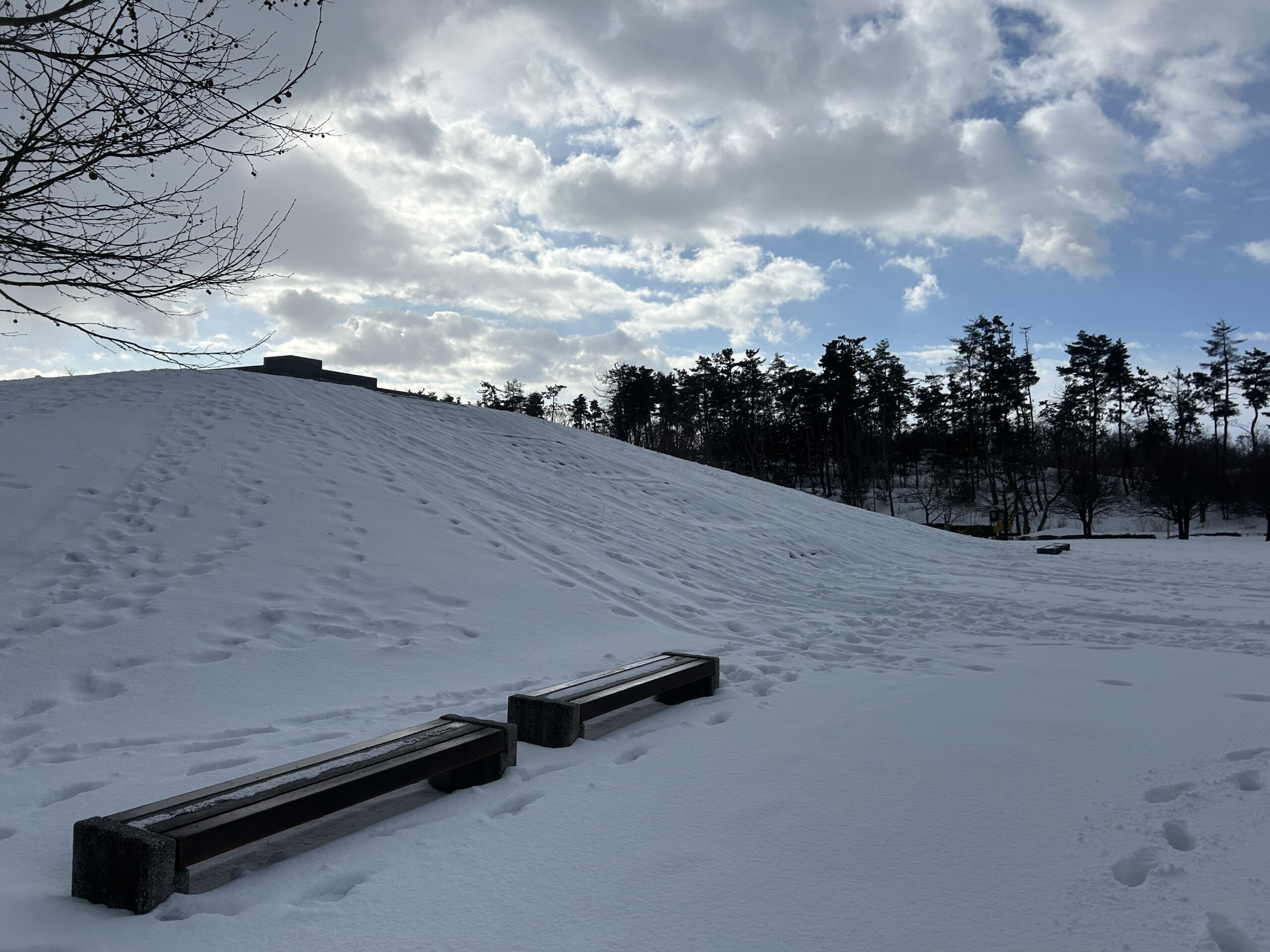 園内の雪情報