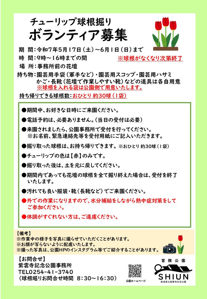 チューリップ球根掘りボランティア募集