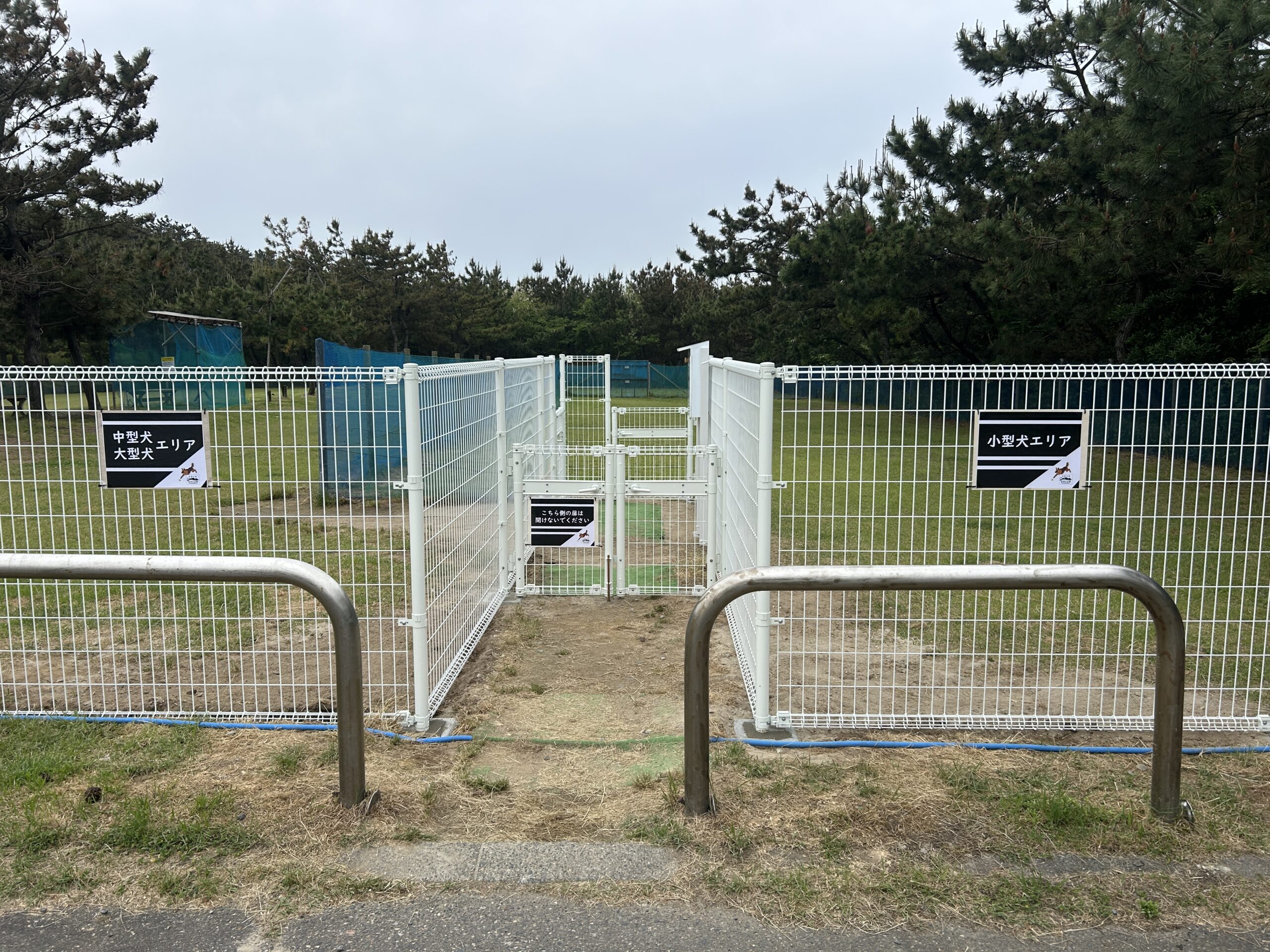 施設紹介：ドッグランについて