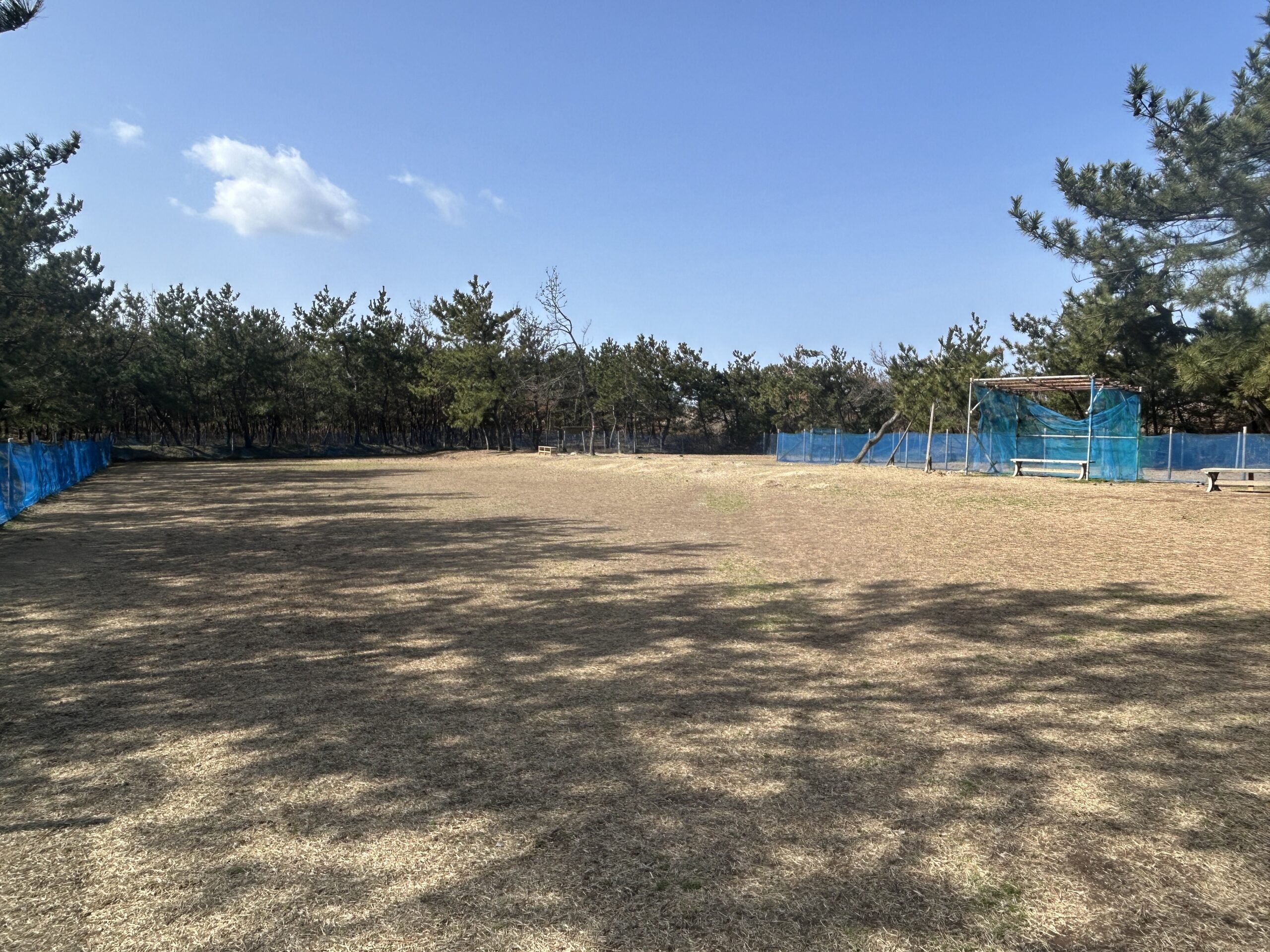 ドッグランご利用の皆様へ